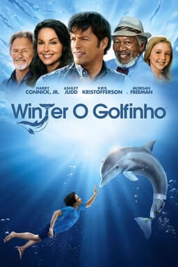 Winter: O Golfinho - Arte principal