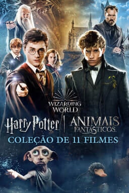 COLEÇÃO WIZARDING WORLD - Arte principal